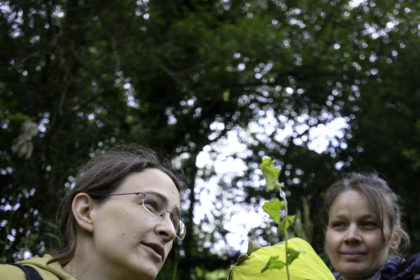 Emilie Cuissard en train d'herboriser avec un groupe. Photo © MJM